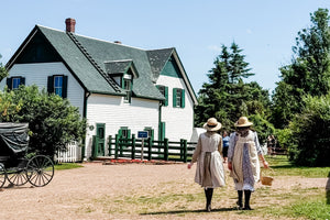 My Journey to PEI: The Island that Inspired Wildflower Whispers