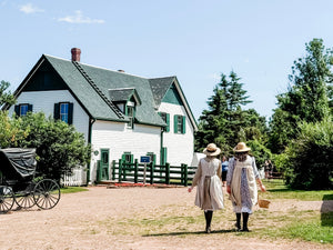 My Journey to PEI: The Island that Inspired Wildflower Whispers