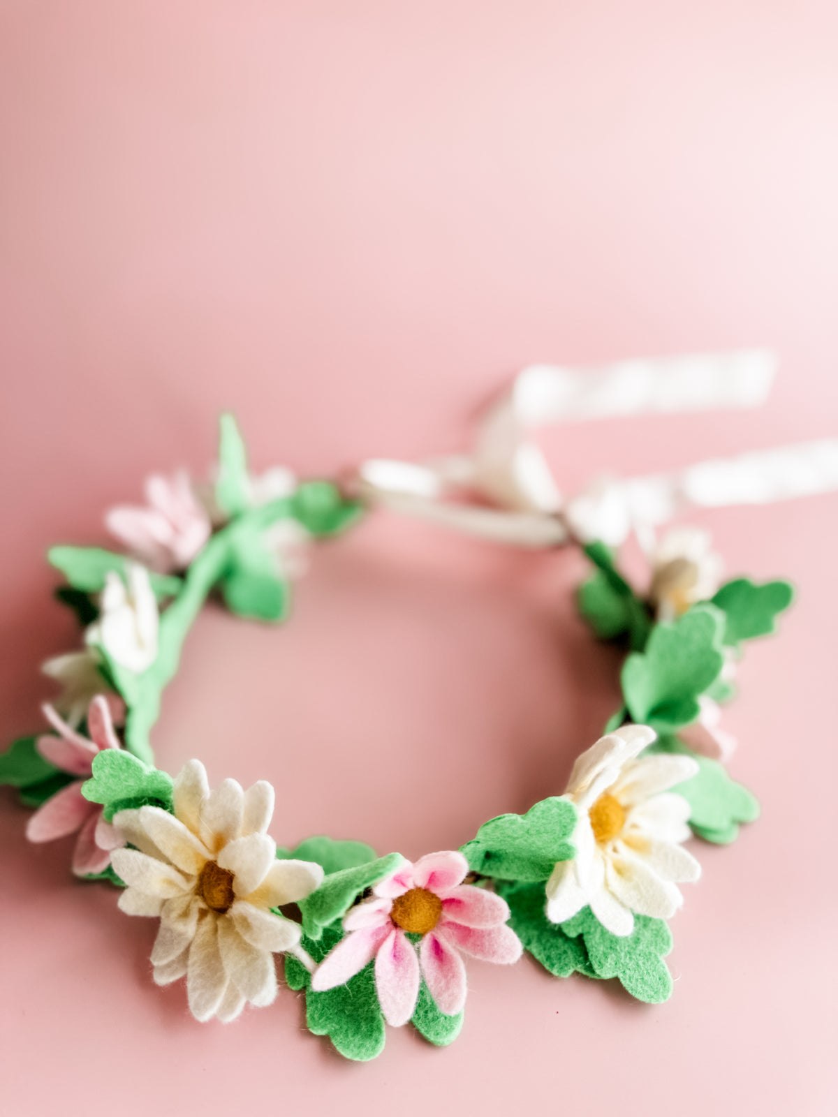 Wild Daisy Flower Crown