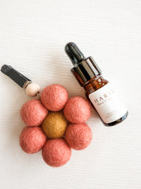 Autumn Flower Car Diffuser Bundle