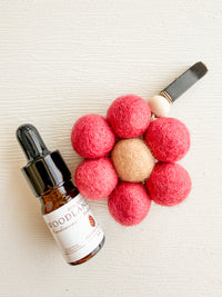 Autumn Flower Car Diffuser Bundle