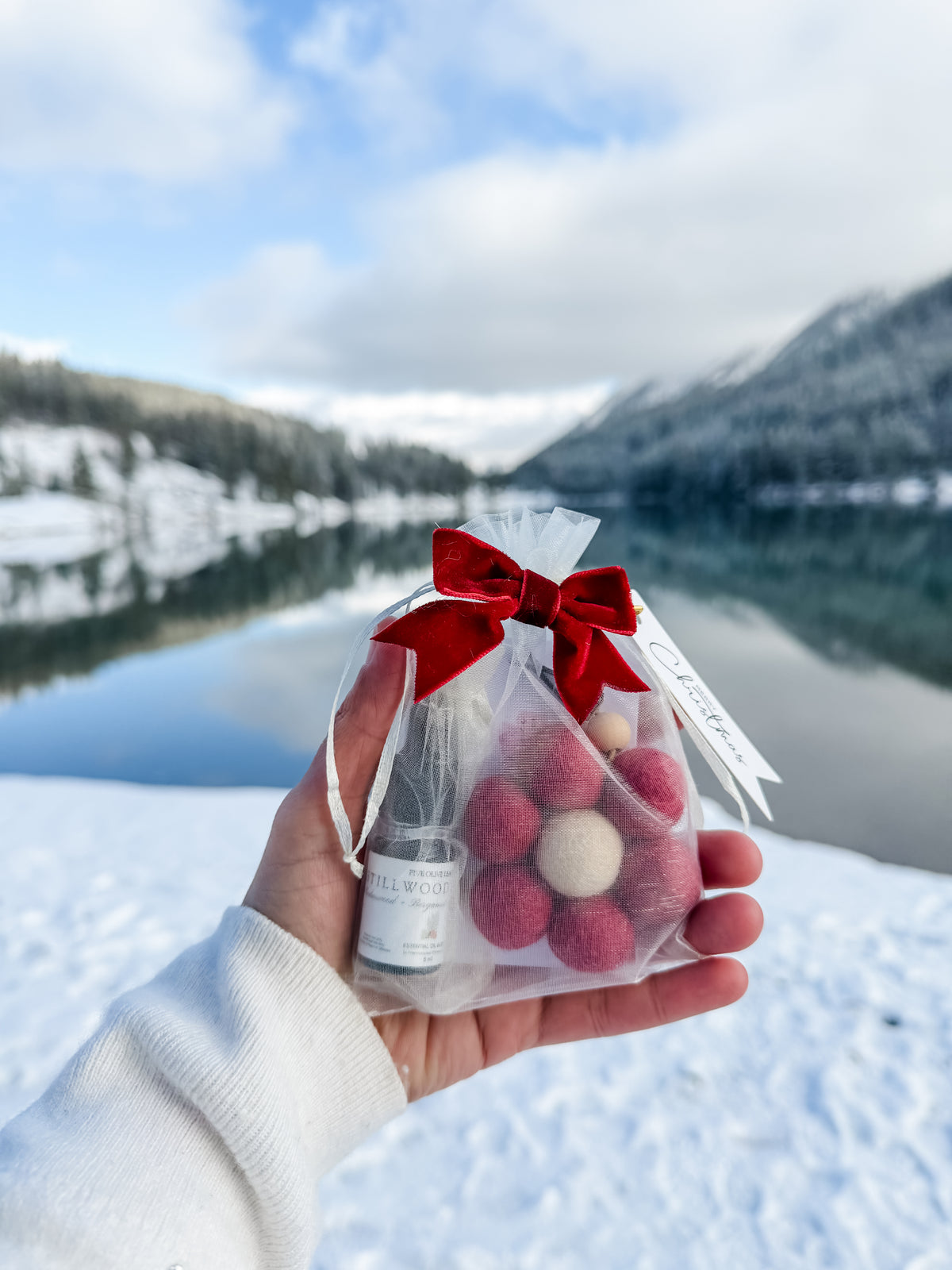 Holiday Flower Car Diffuser Bundle